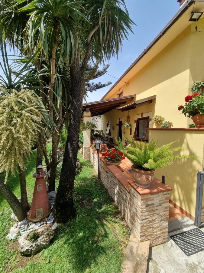 Bed and Breakfast Il Ruscello Маратеа Екстер'єр фото