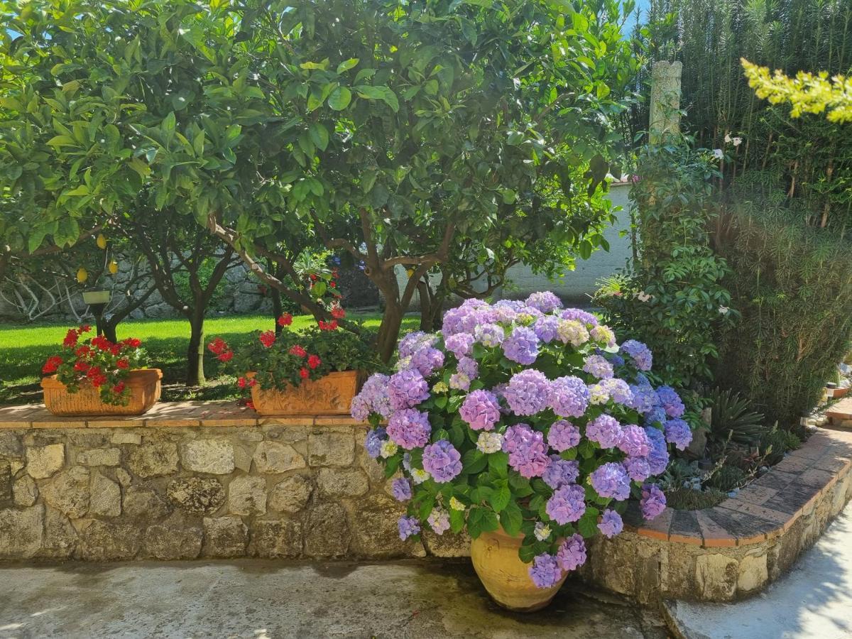 Bed and Breakfast Il Ruscello Маратеа Екстер'єр фото