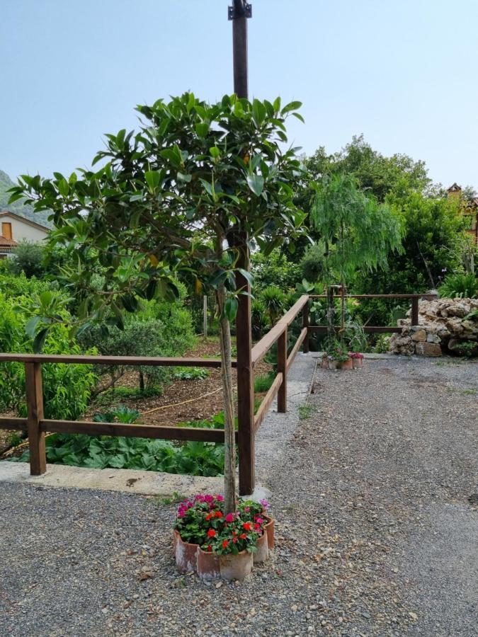 Bed and Breakfast Il Ruscello Маратеа Екстер'єр фото