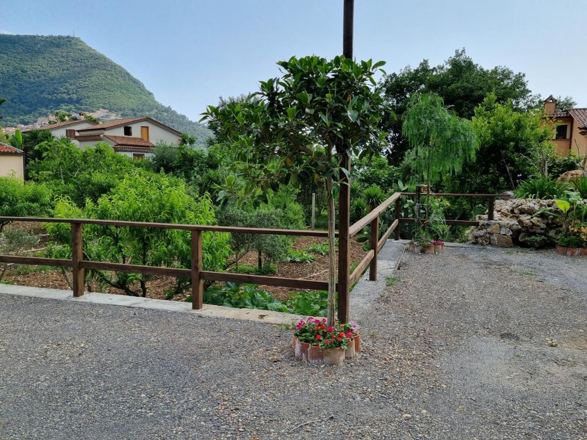 Bed and Breakfast Il Ruscello Маратеа Екстер'єр фото