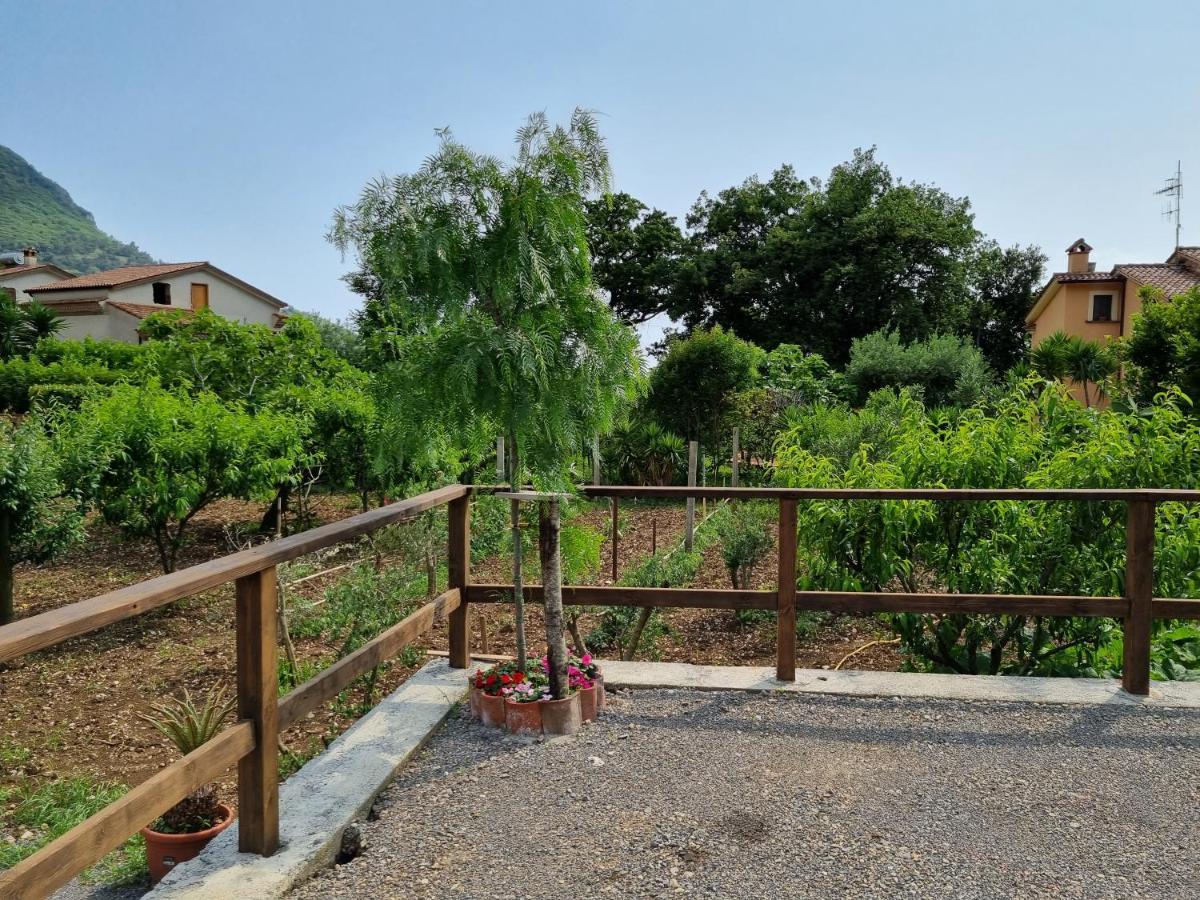 Bed and Breakfast Il Ruscello Маратеа Екстер'єр фото