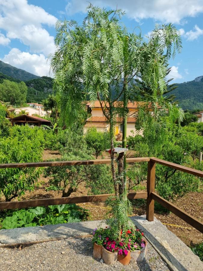 Bed and Breakfast Il Ruscello Маратеа Екстер'єр фото